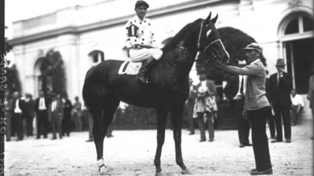 The Legacy of Gallant Fox: A Racing Champion