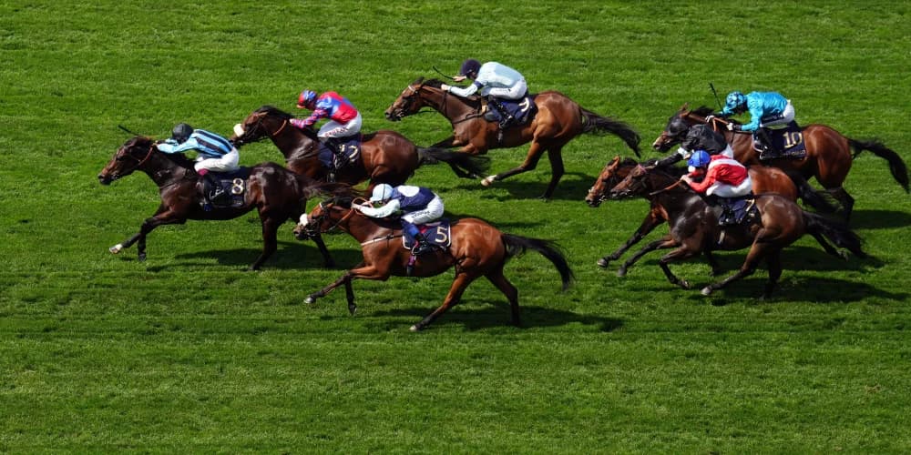 Breeders’ Cup return on the cards for Big Evs