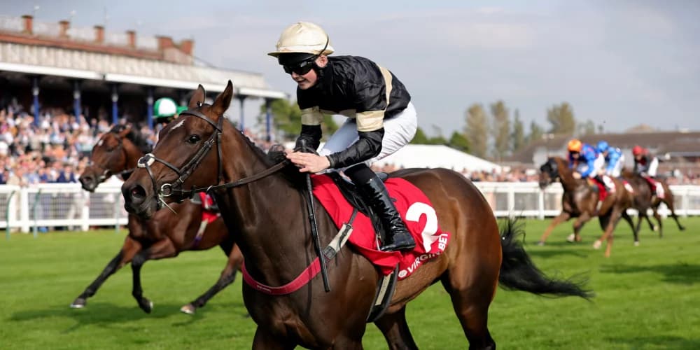 Alfa Kellenic: Craig Lidster's "One in a Million" Filly Eyes Group Glory After Ayr Silver Cup Triumph