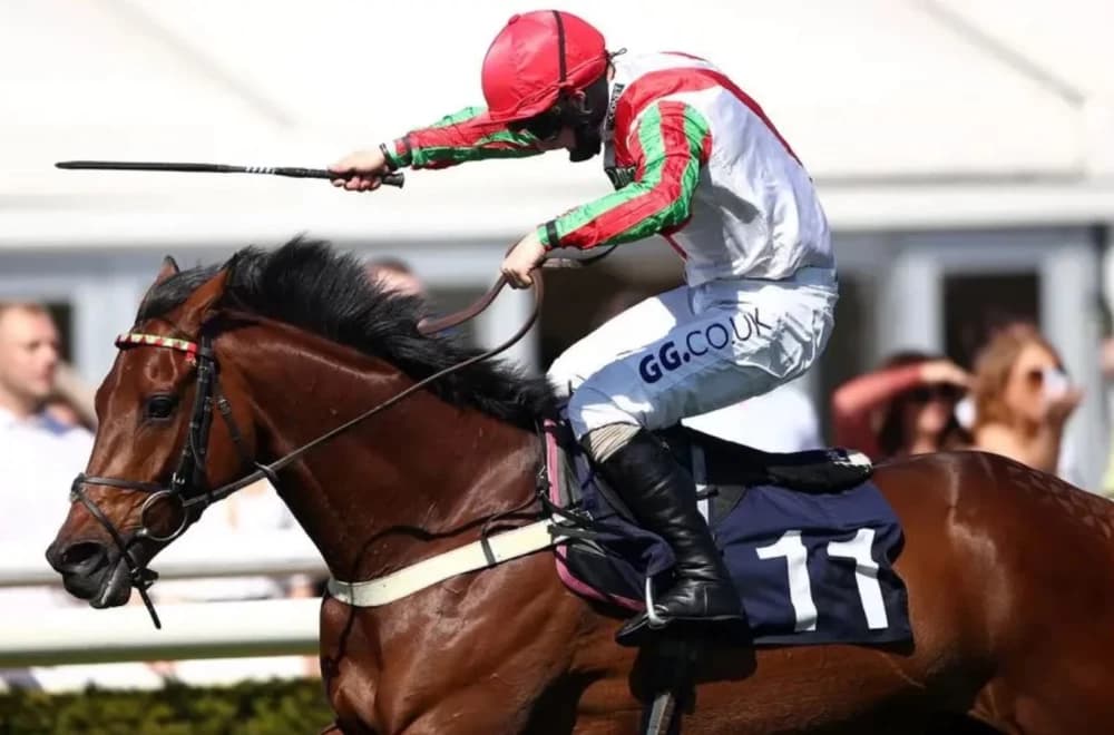 Francky Du Berlais Veterans' Chase Champion: Can He Bring More Glory for the Bowen Family?