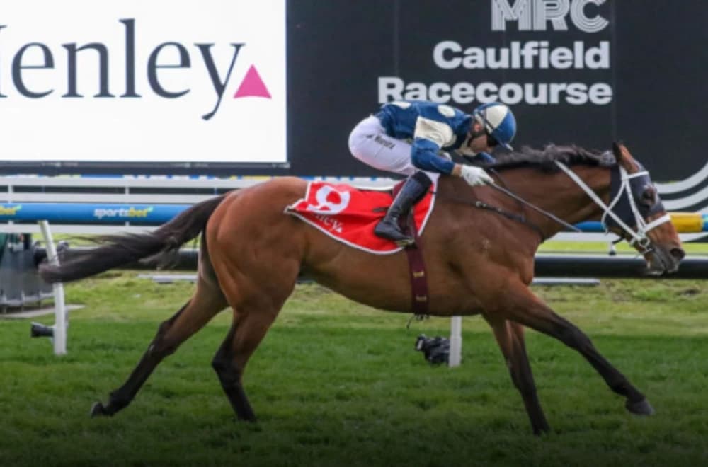 Buckaroo Leads Betting Markets for the $5 Million Caulfield Cup