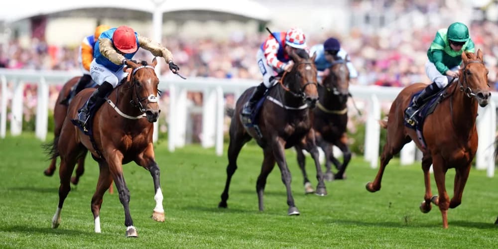 Shareholder will be coming back in trip after Morny disappointment