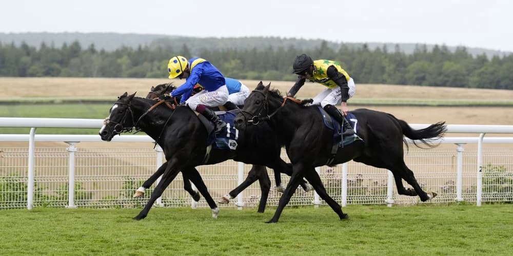 Hott Shott and Spell Master cannot be split at Goodwood