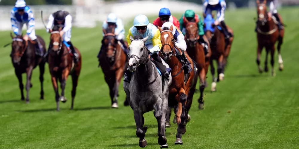 ‘Complete horse’ Charyn primed for mouthwatering Moulin