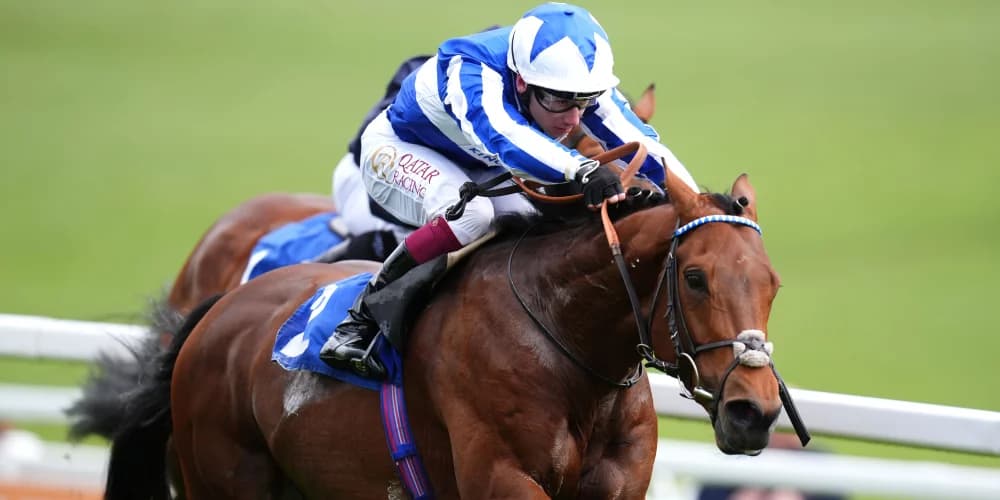 Bellum Justum to carry on with his global adventures