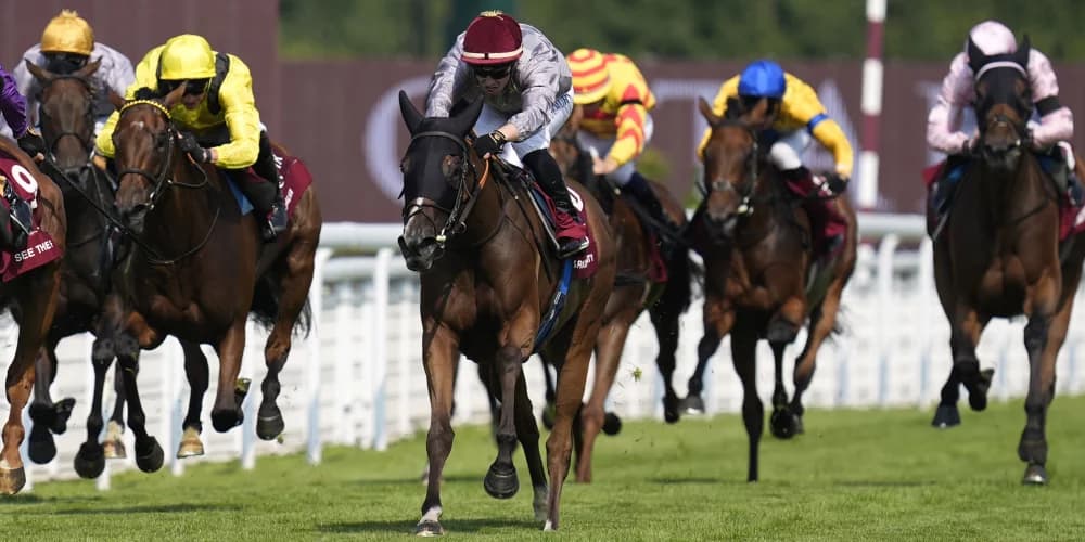 Sparkling Plenty team in no rush to map out future plans