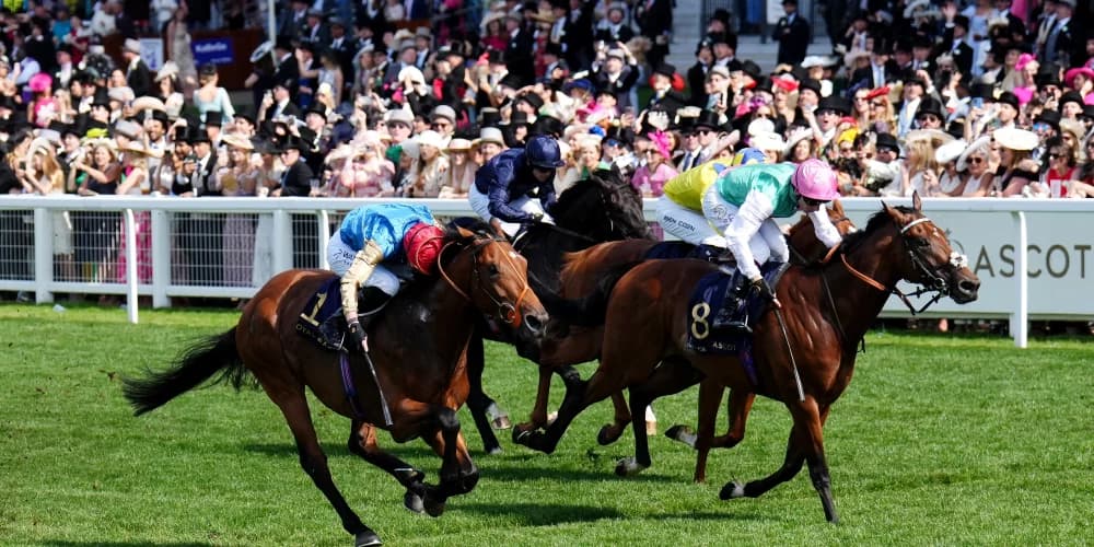 Haatem setback ‘nothing serious’ but season still over