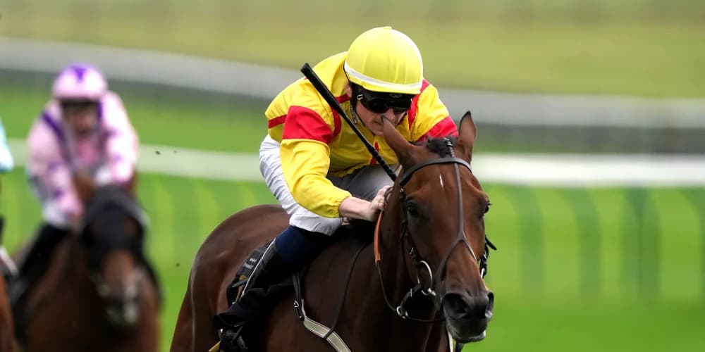 Divina Grace provides Guest with welcome boost at Newmarket