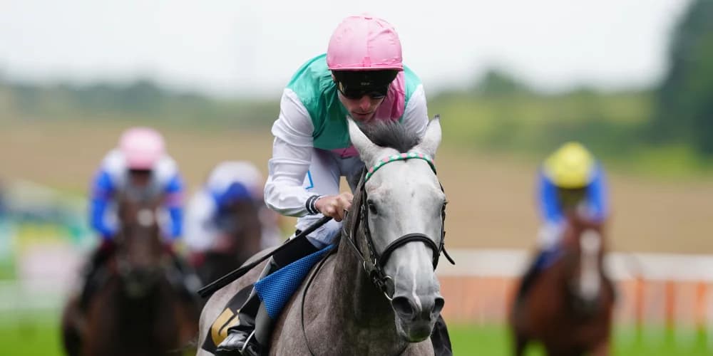 "Rising Star Field of Gold Targets Historic Solario Stakes Win for Gosden Team"
