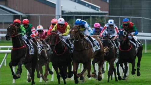 Sha Tin Racecourse Targets Young Audiences with New Initiatives