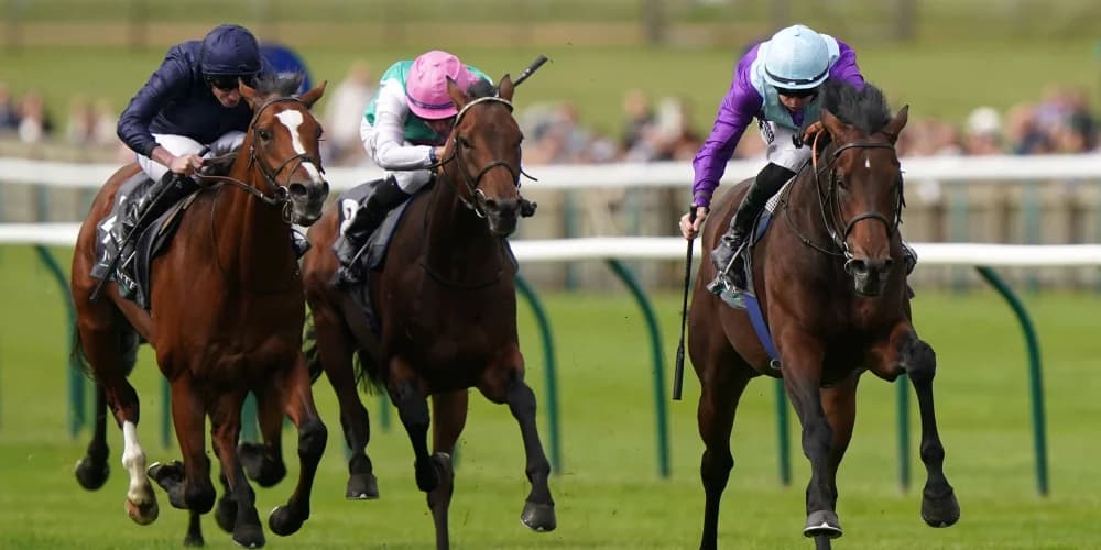 "From Grit to Glory: Ghostwriter’s Journey Towards the Irish Champion Stakes"