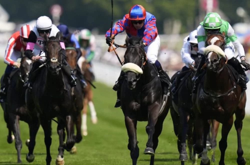 The Strikin Viking Aims for Second Victory at York Gimcrack Stakes