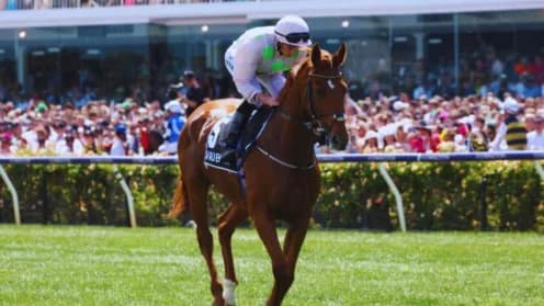 Vauban Joins Australian Bloodstock for Melbourne Cup Goals