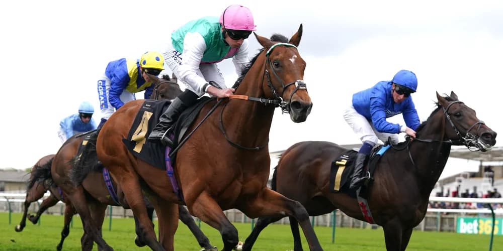 Kikkuli could look to get back on track in Hungerford