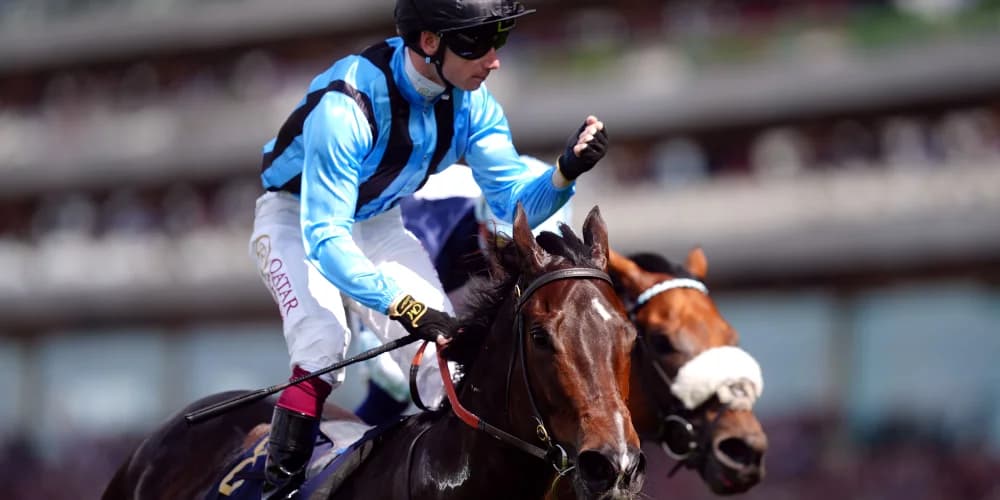 Dwyer fears Asfoora may now be ‘on the way down’