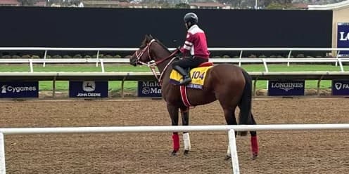 Forever Young Primed for Breeders Cup Classic Success