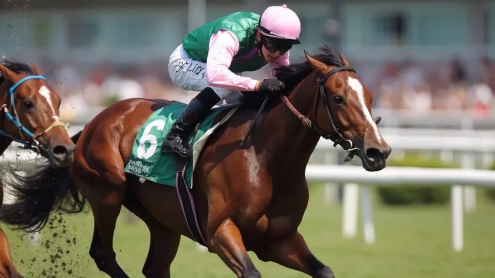 Wathnan Racing Eyes Breeders' Cup Classic with Subsanador