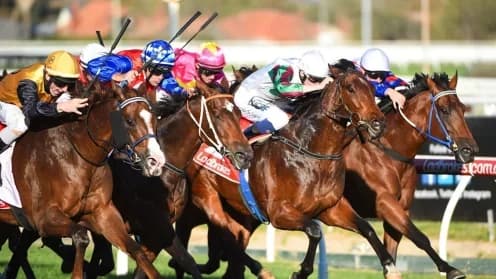 Refusetobeenglish Shines in Debut, Eyes $3M Sunlight Race