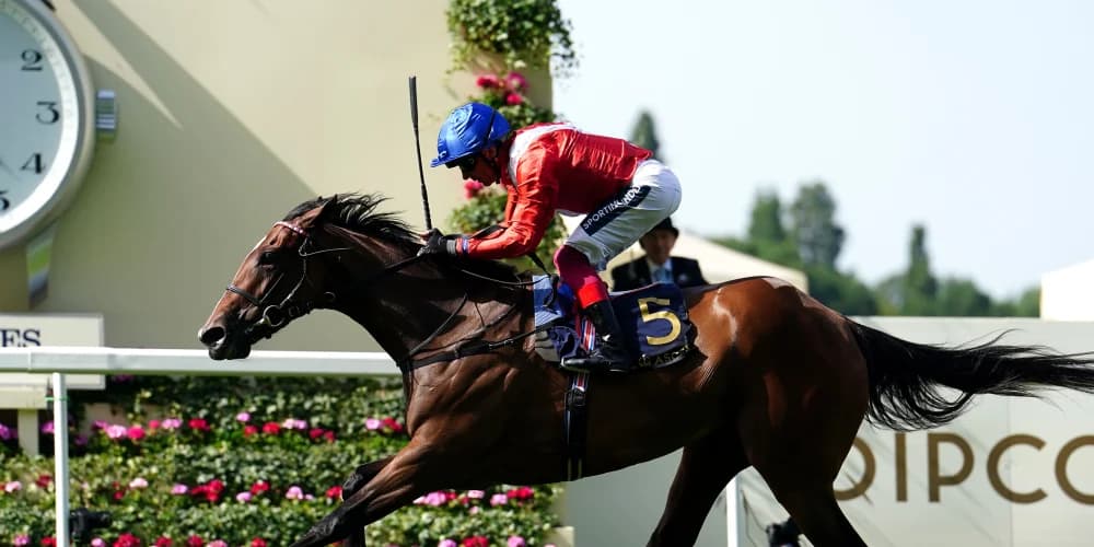 Connections open-minded regarding Inspiral after Royal Ascot defeat