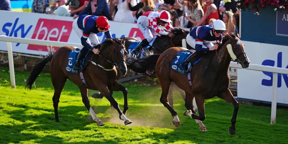 Remarkable Sir Busker back firing on all cylinders