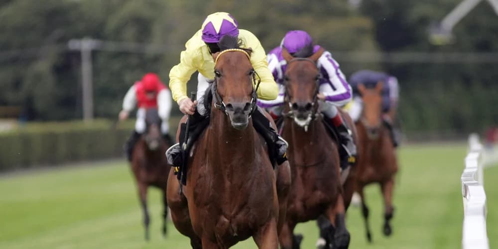 Oxx still proud to be on Irish Champion Stakes roll of honour