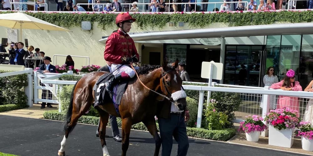 Del Mar mission calling for New Century