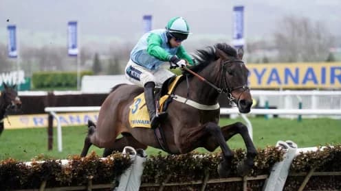 Exciting Racing Day: You Wear It Well Debuts Over Fences