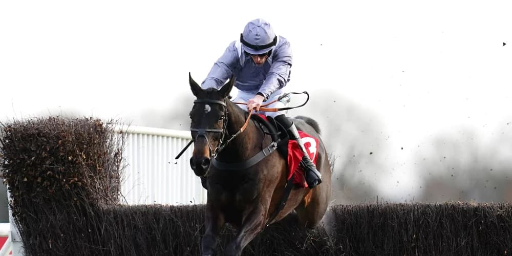 Il Est Francais limbering up for seasonal return