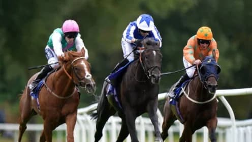 "Jockey Tim Clark Aims for Hometown Victory with Rustic Steel"