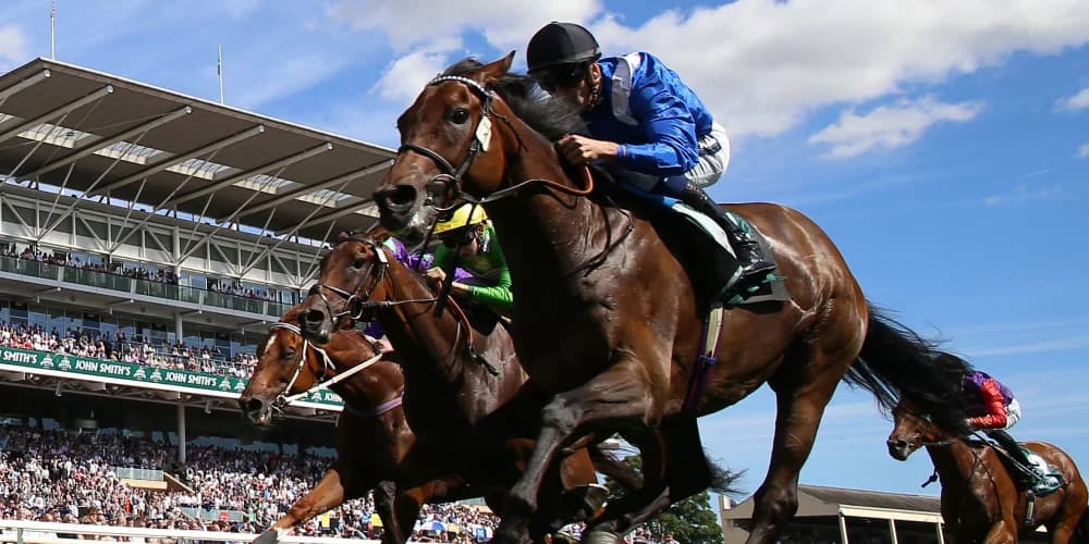 Anmaat making eagerly-awaited Rose of Lancaster return