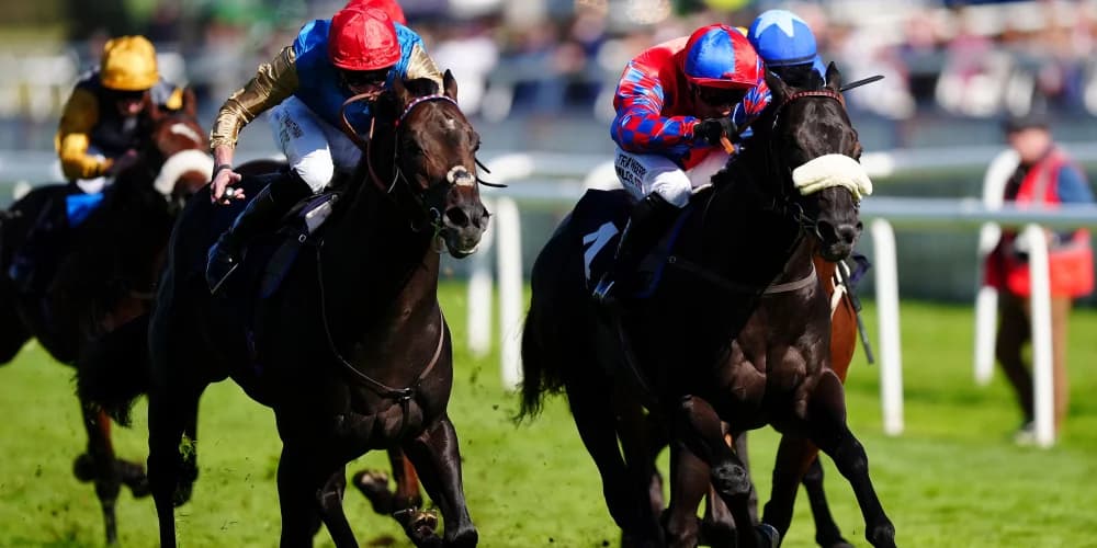 Aesterius gets the better of Big Mojo in tight Flying Childers finish