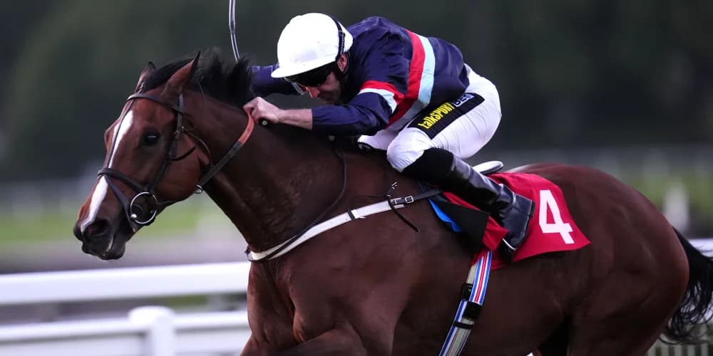 Dual Identity set for another crack at Cambridgeshire success