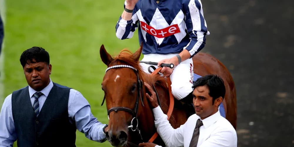 Lake Forest lined up for Haydock or Doncaster redemption