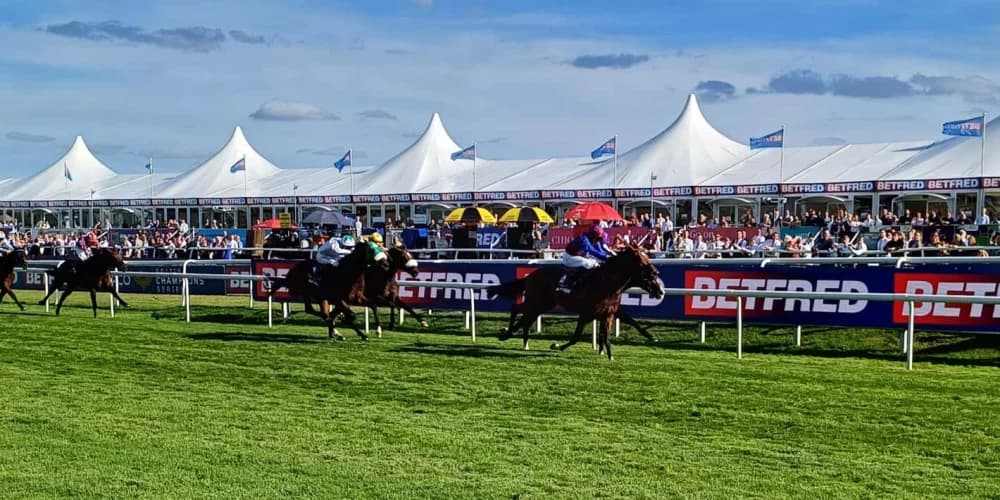 Jan Brueghel digs deep to give O’Brien an eighth St Leger