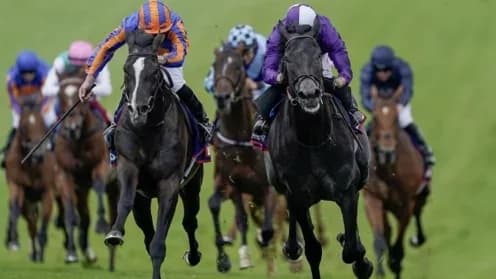 Reviving Horse Racing: Overcoming Tradition and Decline