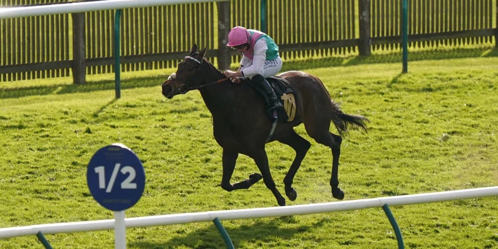 Impressive Kalpana cut for Champions Day mission