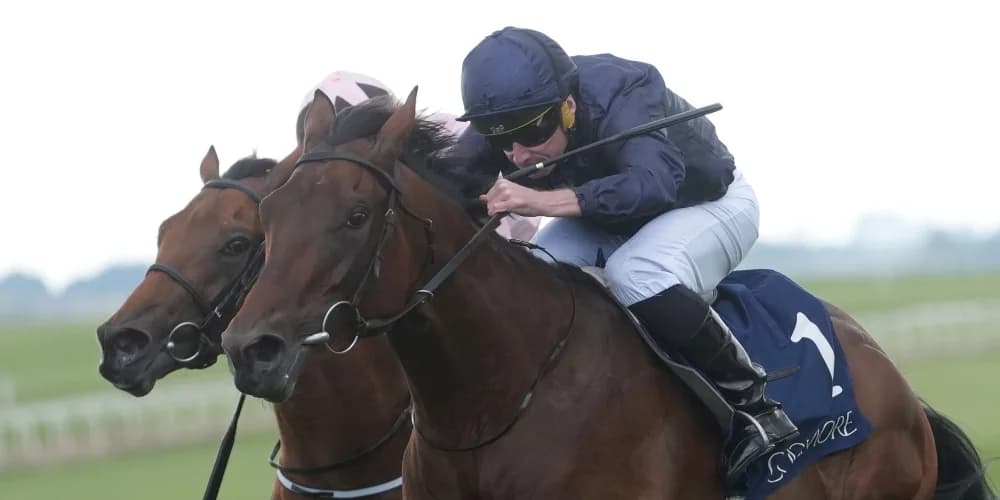 Henri Matisse exhibits star quality at the Curragh