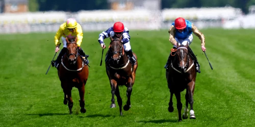 Leovanni set for Cheveley Park Stakes after gallant Lowther effort