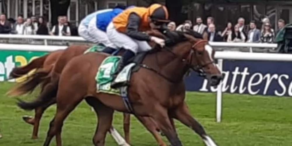 Crisford pondering adding Arabian Dusk to Prix Morny field