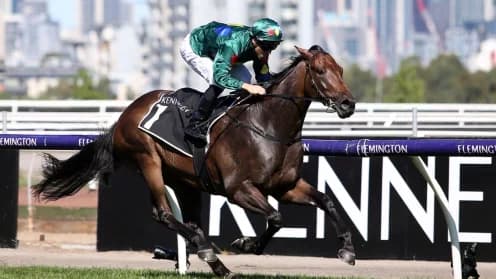 Maher’s Quartet Ready for Another Zipping Classic Challenge