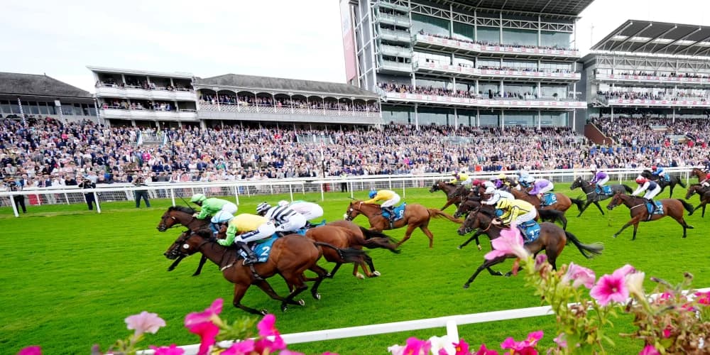 "Jm Jungle Roars to Victory: Local Hero Conquers York’s Symphony Group Handicap!"