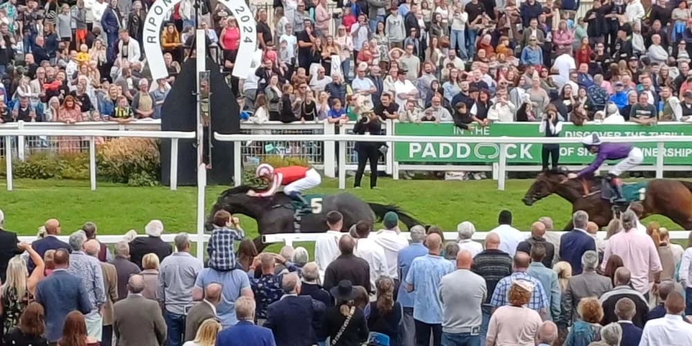 Soldier’s Heart Dominates Ripon Trophy Stakes with Ease