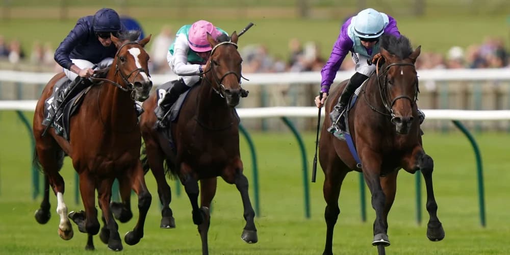 Ghostwriter out to end O’Brien’s Irish Champion monopoly