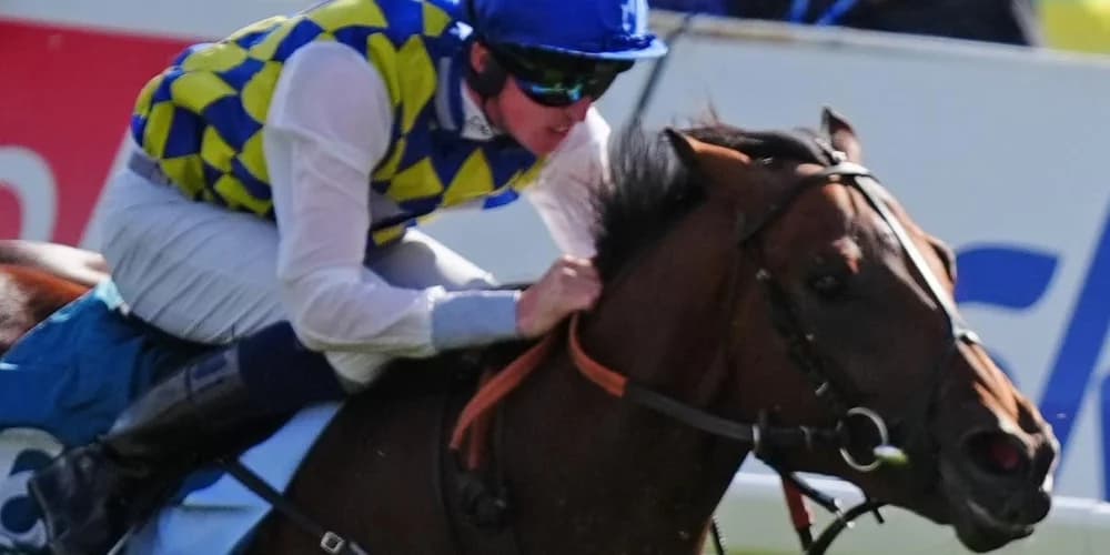 John Ryan considering Abbaye tilt for La Bellota