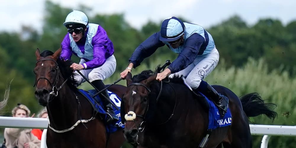 Al Riffa on trial for Arc when stepping up in trip at Hoppegarten