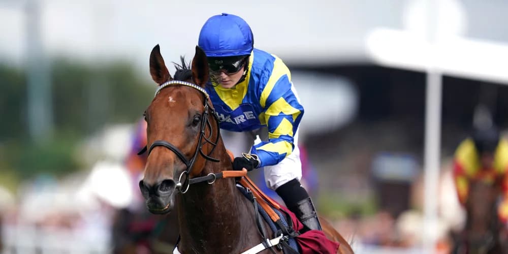 Cadran calling for Trueshan after solid Doncaster effort