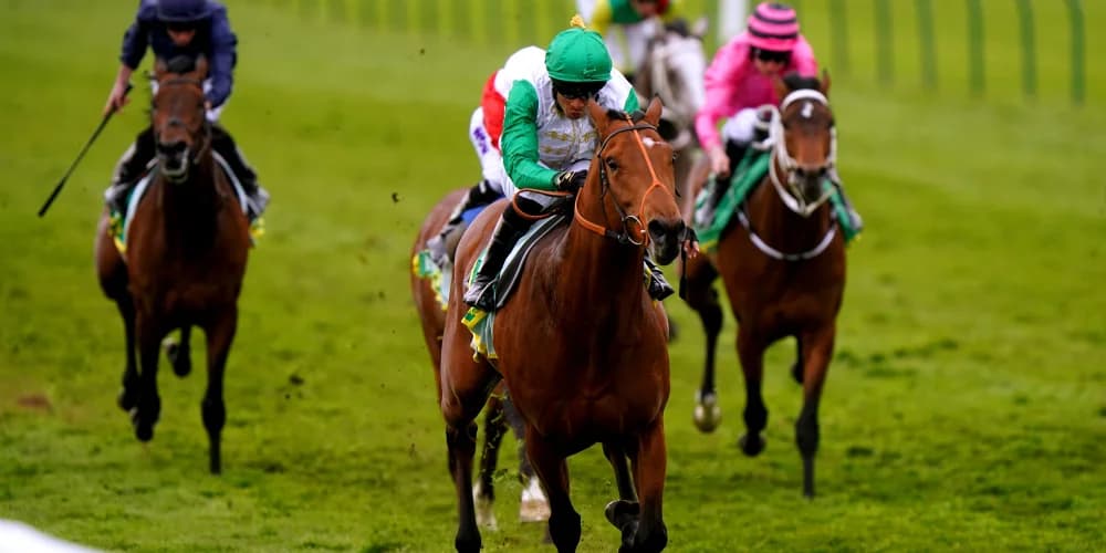 Wathnan splash the cash in search of more Royal Ascot glory