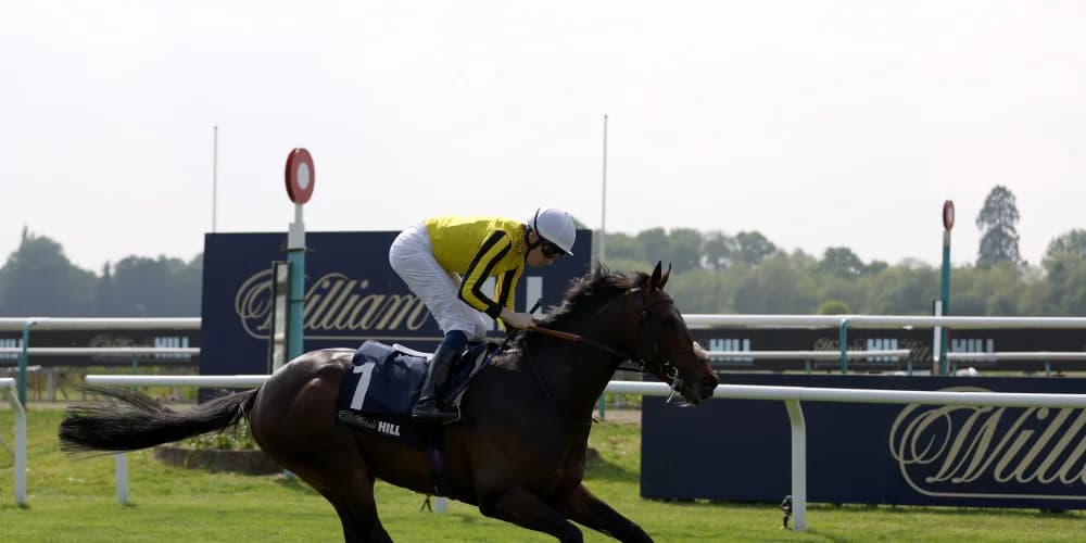 Tylicki has every faith in Ambiente Friendly running a big race