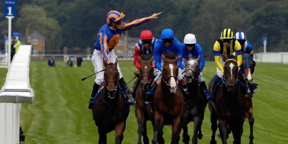 Fabre has fond memories of sole King George hero Hurricane Run