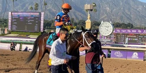 Fierceness Prepares to Roar in Breeders' Cup Classic Showdown